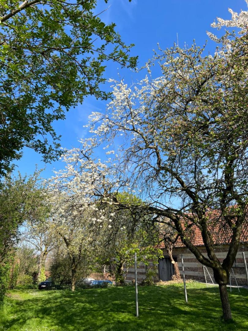 De Zwarte Stok Villa Riemst Exterior foto